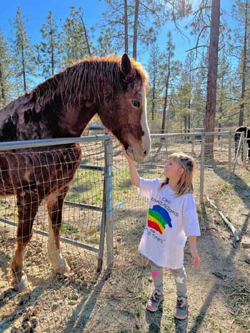 Horse and Girl